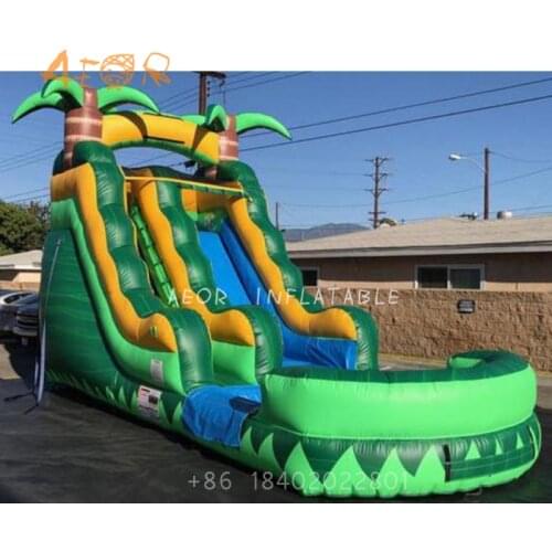 AEOR high quality inflatable water slide with pool 2021 hot sale inflatable slide inflatable screamer water slide