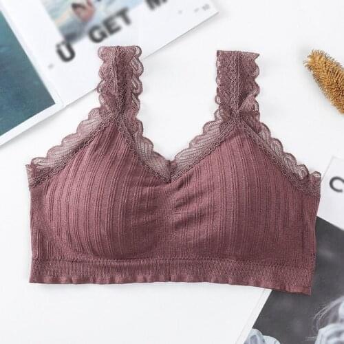 Women Lace Padded Bras Sexy Tube Top Comfortable Active Bras Female Lingeries Crop Top Underwear