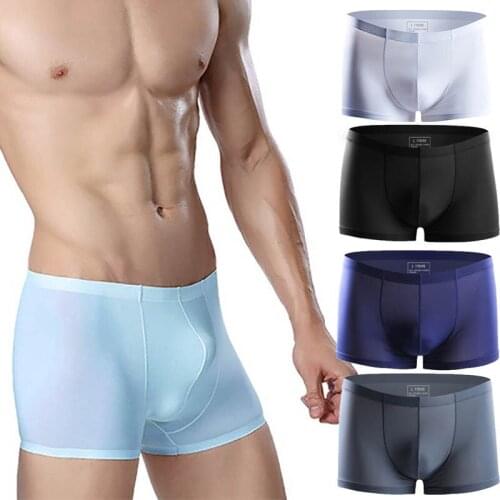 5PCS/Lots Mens Boxer Shorts Ultra Thin Ice Silk Underwear Transparent Seamless Gay Panties Calzoncillo Hombre Slip Boxershorts