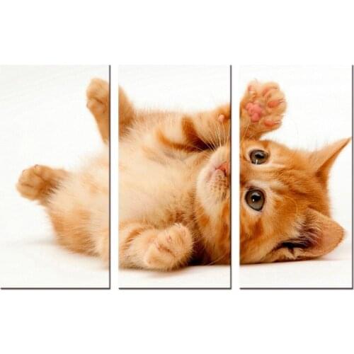 3 pieces / set Modern Animals Pet Cat Quotes Canvas Art Print Poster Nursery Wall Picture Kids Baby Room Decor Painting