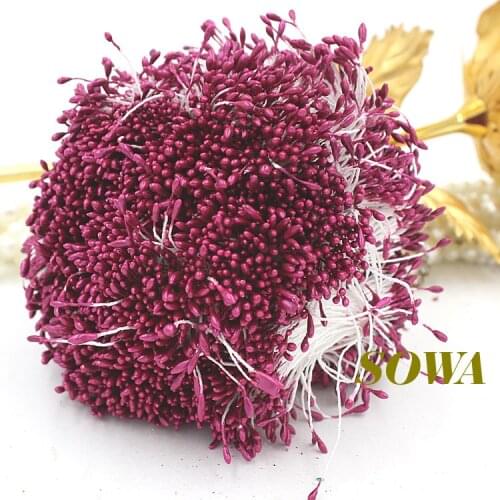 Free Shipping 1mm 900pcs/Lot Double Heads Rose Flower Pearl Stamen Cake Decoration Craft DIY
