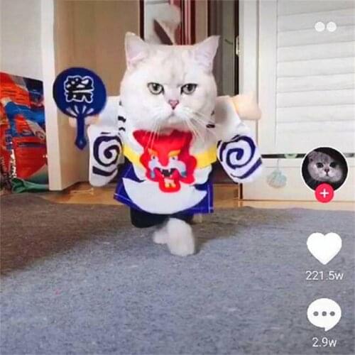 New Dog Coat Pet Interesting Cosplay Halloween Costume for Dogs Puppy Funny Standing Costume for Performance Dog Products
