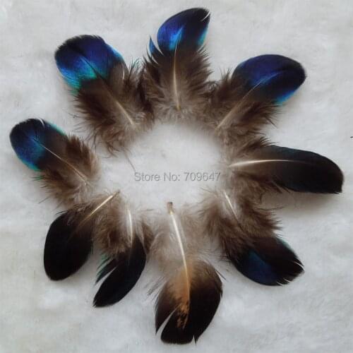 30Pcs/lot!4-5cm long Rare Small NATURAL Blue PEACOCK WING FEATHERS LOOSE PEACOCK FEATHERS