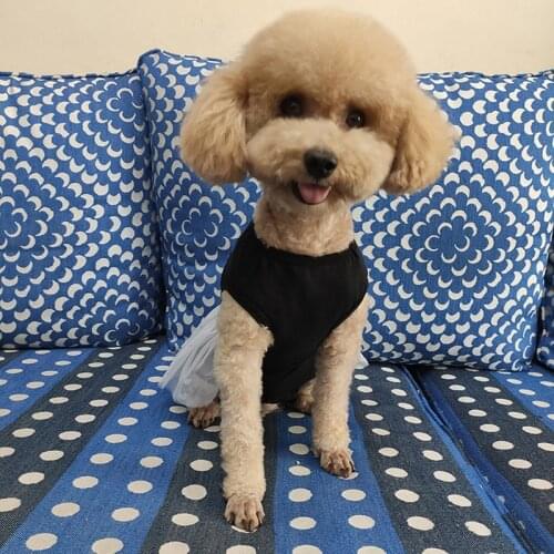 MUQGEW Dresses For Dogs