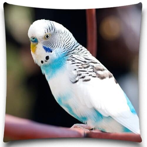 Square Top 2016 2D printed 100% Cotton Car chair Decorative Throw pillows Covers for Sofa pillow Case 5 size 9 style