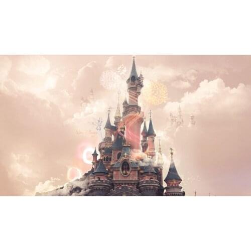 Princess Castle Pink Clound backgrounds High quality Computer print party photo backdrop