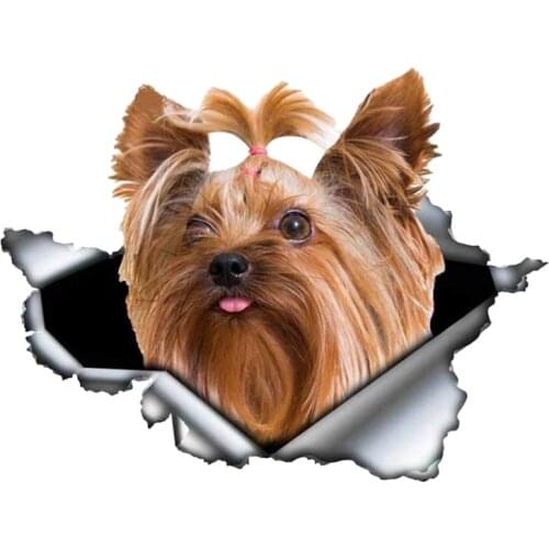 Self-adhesive Decal Yorkshire Terrier Car Sticker Waterproof Auto Decors on Bumper Rear Window B0096