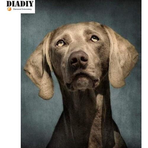 Full Square&round drill 5D DIY Diamond embroidery animal dog Diamond Painting Cross Stitch Rhinestone Mosaic decor gift