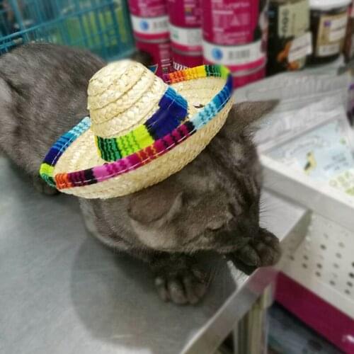 Colorful Pet Straw Hat Dog Cat Mexican Straw Sombrero Hat Pet Adjustable Buckle Costume Happy Halloween Party Pet Ornaments