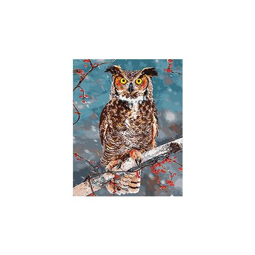 Cioioil-T272 Wise Owl painting coloring by numbers DIY digital Hand-painted canvas painting for home decor