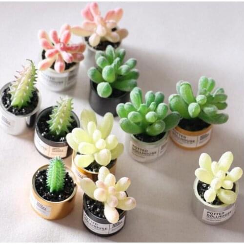 1:12 Dollhouse Miniature Potted Succulent Plant Model Accessories Simulation Toy 1For Dollhouse Decals