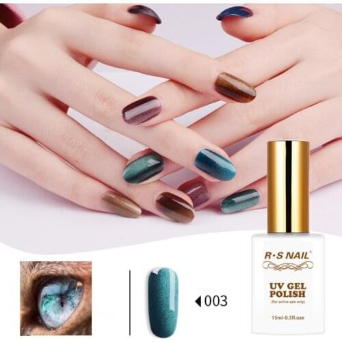 Cat Eye Gel Polish Nail Art Magnetic Gel Lacquer 12 Colors Vernis Semi Permanant Lakiery Hybrydowe 15ml
