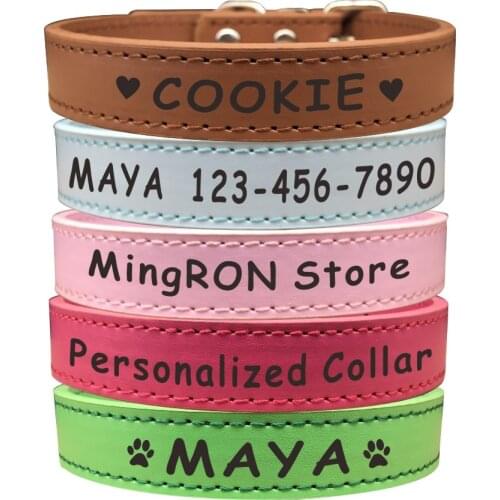 Collars HOMIE PAW China