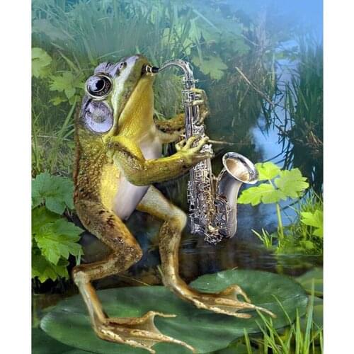 Diy diamond painting cross stitch craft plastic frog canvas kits diamond paintings Rhinestone painting
