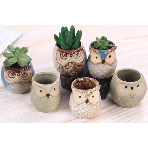 New Cartoon Owl-shaped Flower Pot for Succulents Fleshy Plants Flowerpot Ceramic Small Mini Home/Garden/Office Decoration