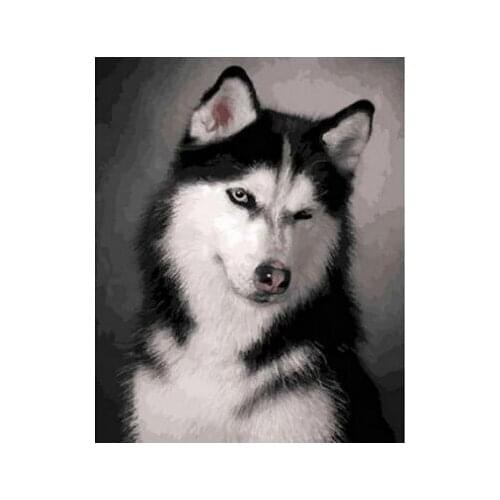 Acrylic Paintings By Numbers MaHuaf China