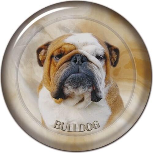 S30484# 13CM/15CM/17CM PVC Decal Bulldog Dog V2 Car Sticker Waterproof for Bumper Rear Window Laptop Toilet