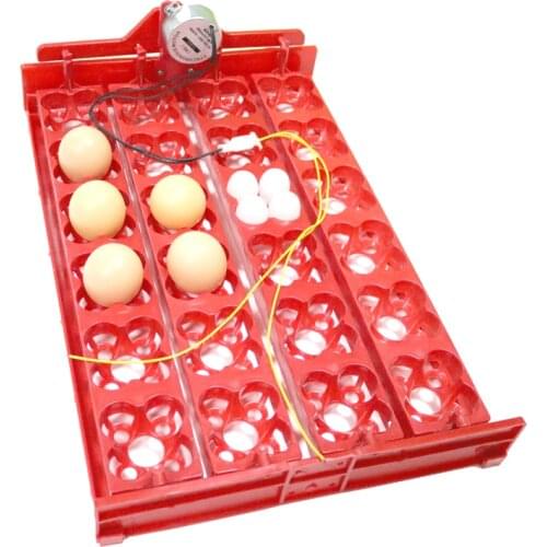 DIY 96 Eggs Bird Incubator Egg Rack Tray automatic 24 Egg Incubator Quail Parrot Incubation Tool Size 43 * 28 cm