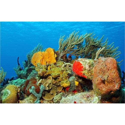 Colorful print Wall Tapestry underwater world tapestry M413