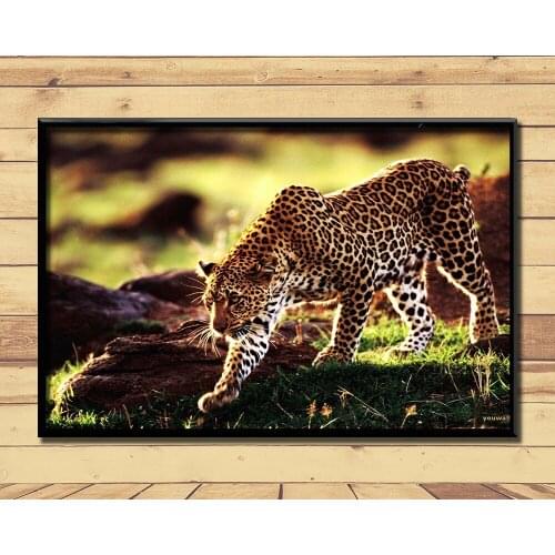 Cheetah Fierce Animal (18) Wall Posters Prints Silk Art Painting For Home Wall Bedroom Decor