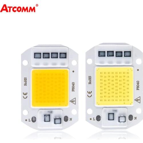 2000 Lumen COB LED Chip Lamp 20W 30W 50W 220V 110V LED Diode Array Spotlight Floodlight Light Bulb Smart IC No Flicker