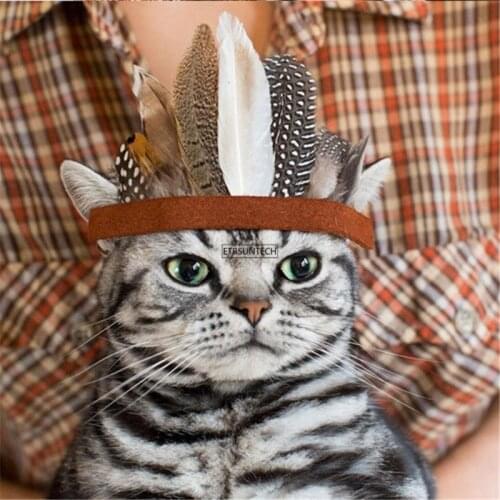 50PCS Pet Dogs Cat Headdress Hairpin Feather Festival Hair Clips Cat Dog Puppy Birthday Grooming Tool