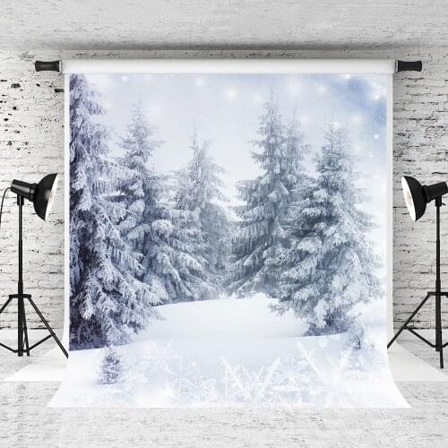 VinylBDS Winter Photography Background Backdrop Snow World Backgrounds For Christmas Photos Children Background Fotografia