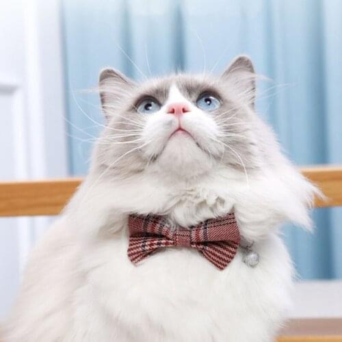 Plain Color Bow Cat Collar Cotton Adjustable Safety Buckle Bowtie Bell Breakaway Cat Collar Harness for Cat Small Dogs Wholesale