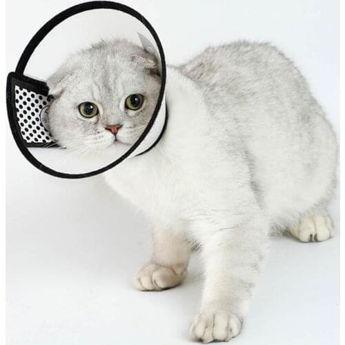 Elizabeth Anti-bite Pet Dog Collar Cat Dog Puppy Neck Protective Circle Feeding Medicine Cover Accessories For Small Large Dogs