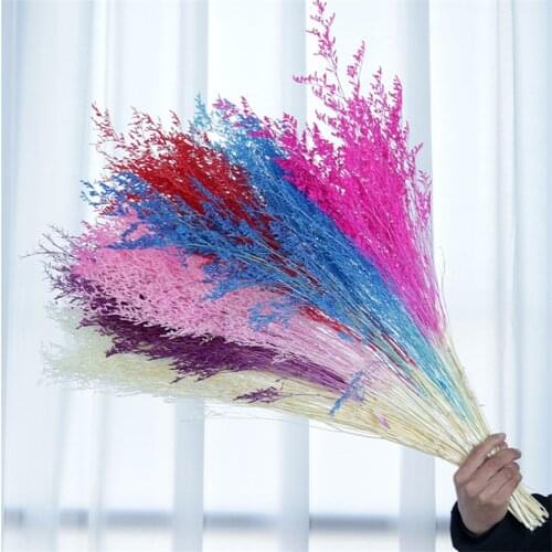 100g Artificial Plant Natural Dried Preserved Plants Lover Grass For Room Home Interior Scandinavian Decoration Party Backdrops