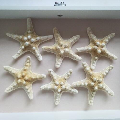 10Piece 6-7cm White Natural Finger Starfish Craft Decoration Natural Sea Star DIY Beach Cottage Wedding Decoration