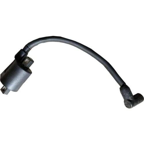 Free shippingHangkai 2 stroke 6.0HP outboard engines boat motors boat hook ignition coil original parts