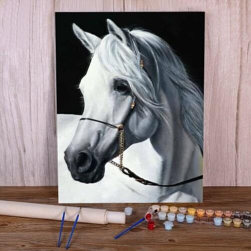 Animal Horse DIY Paint By Numbers Complete Kit Oil Paints 40*50 Picture By Numbers Photo Home Decoration For Adults Art