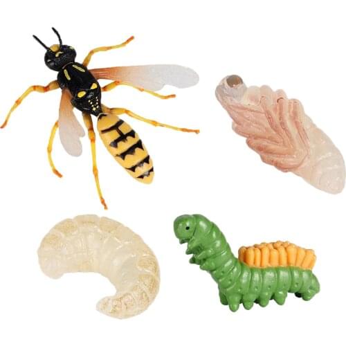 4Pieces Simulation Wasp Life Cycle Set Action Toy Childrens Toys Game