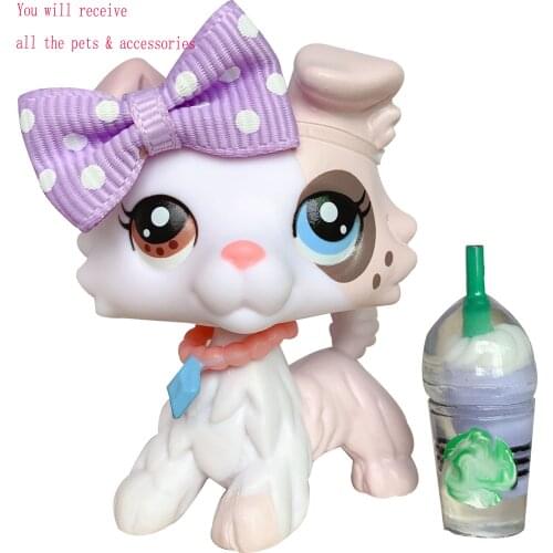 Pet shop Custom Made OOAK New White Collie Spot Different Eyes With Accessories