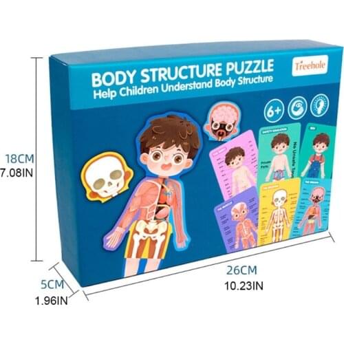 1 Set Interactive Wooden Anatomy Toy Game Puzzlebox with Organ Structure Bone Muscle Cognition Toy Educational Supplies