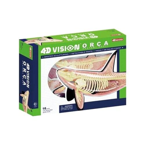 4D master animal anatomy model fight inserted whale nursery teaching aids childrens educational toys free shipping