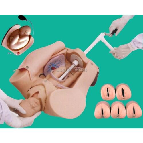 Advanced Abdominal Palpation & Delivery Mechanism Integrated Simulator, Abdominal Palpation Simulator