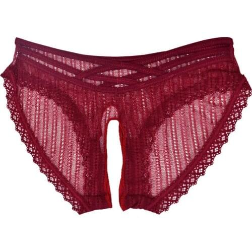 Woman Appeal Underwear Lace Crotchless Briefs Gauzy Breathable Stockings Lesbian Low-Waistline Underpants Sexy Little Panties