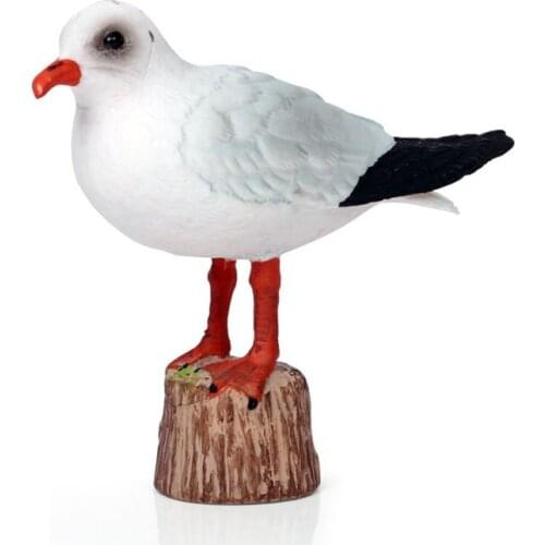 Black-headed Gull Animal Figure Collectible Toys Birds Animal Cognition Action Figures Kids Plastic Model Toys