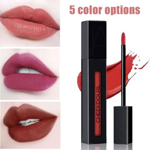 CHEEKDOURL 5 Colors Matte Lipgloss High Pigment Lip Tint Long Lasting Waterproof Cosmetic Beauty Keep 24 Hours Makeup lipgloss