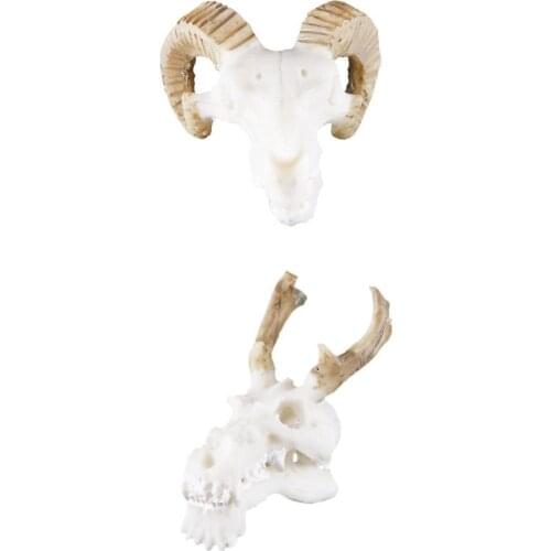 Hot Sale 2 Pcs Resin Habitat Aquarium Terrarium Decoration Ornament for Small Turtles Amphibians Fish, Goat Skull + Dragon Skull