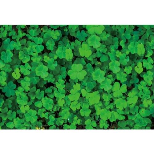 Holiday Backdrop Dark Green Clover From Photography Background Celebration Photo Booth Studio Decor