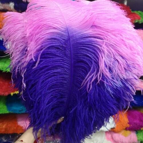 Wholesale 50 pcs Blue and Pink "Thick Stem" Male Ostrich Feathers 24-26inch/60-65cm DIY Jewelry Craft Making Decoration