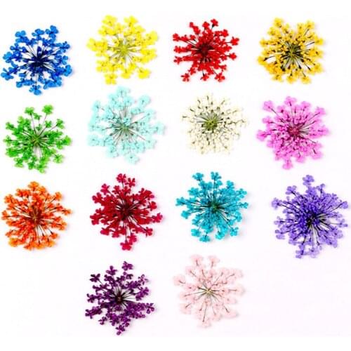 20Pcs Pressed Dried Flowers Plants DIY Craft Pendant Necklace Jewelry Accessories Dry Flowers Scrapbooking Home Decoration