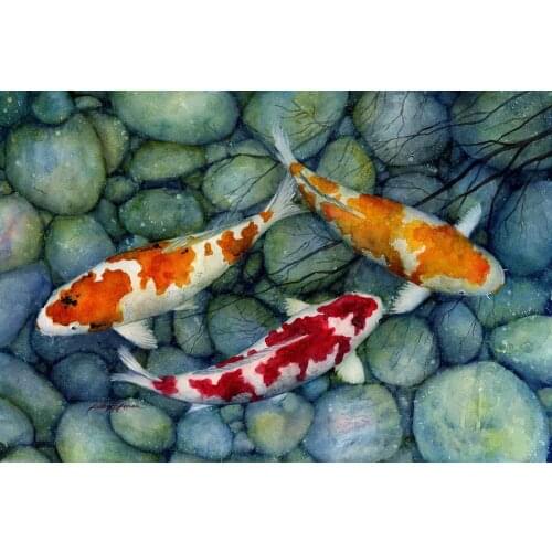 JMINE Div 5D river colorful Fish Stone Rock Full Diamond Painting cross stitch kits art Animal 3D paint by diamonds