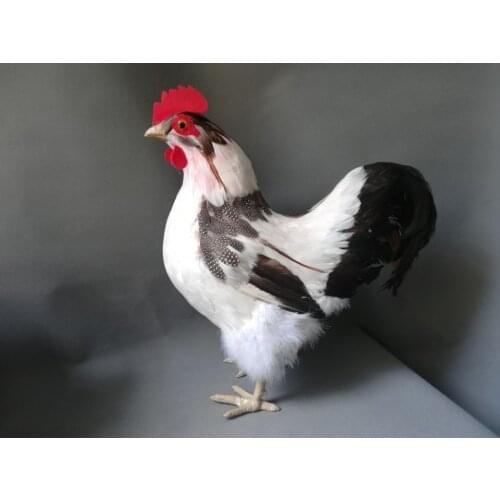 1:1 model simulation cock plastic&feathers colourful white cock model about 42x40cm, home, farm decoration gift w0170