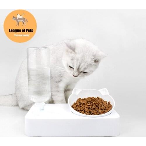 Pet Bowl Automatic Feeder Dog Cat Food Bowl with Water Dispenser Double Bowl Drinking Raised Stand Dish Bowls with Pet Supplies