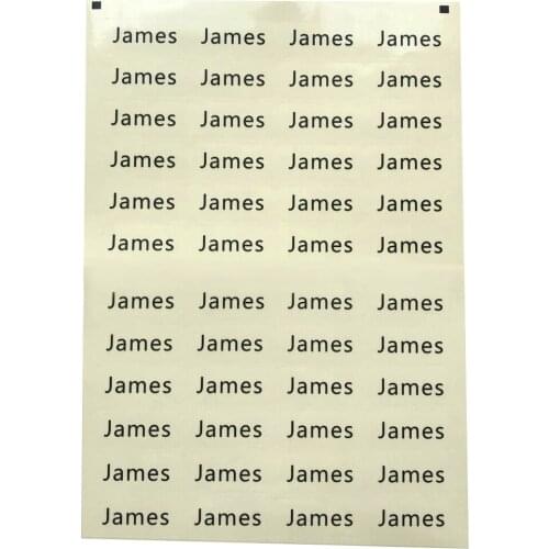 48Pcs 46x20MM Transparent Personalized Name Tag Stickers Custom Logo Labels For School Stationery Water Bottle Office Supplies