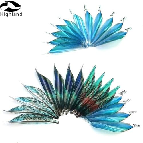 Eagle Aim Bows And Arrows